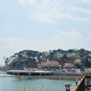 돌고래회관 이미지