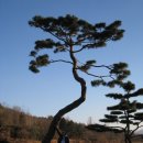 노고단-15 이미지