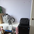 [룸렌트] 던다스앤블로어 아파트 룸렌트 800불 이미지