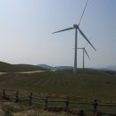 고려대학교 교육대학원 이미지