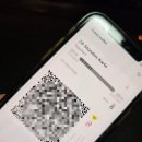 분수광장 관광안내소(비상설) | 베를린 대중교통 완벽 정리 | 공항버스부터 트램, 버스, 지하철까지 ft. 웰컴카드 (2026. 현재)