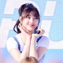 지이