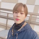 하성운 카카오 검색결과