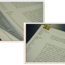 박성태농장 이미지