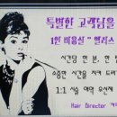 앨리스헤어샵 이미지