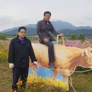 코스모스작은도서관 이미지