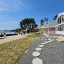 샌드비치 이미지