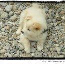 일도네민박 이미지