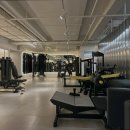 로드짐 휘트니스 이미지