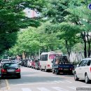 미래안경원 티스토리