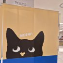 부자약국 | [25부산_3] 강아지를 위한 펫프레시 팝업, 행복약국 방문