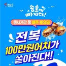 송호 | 전남 해남 가볼만한곳 땅끝마을 송호해수욕장 여름 축제 후기