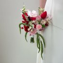 (주)리코팜 | [셀프 웨딩 스냅 준비] 준비물편!! (드레스, 카메라, 신발, 베일 등)