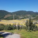 김영기 농장 이미지