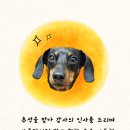 VIP동물한방재활의학센터by.Dr.신사경 이미지