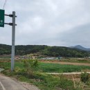 자란도민박 이미지