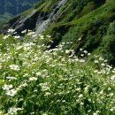 705-13 Col des Fours2665m ＞ la Ville des Glaciers1789m 이미지