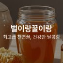 비앤허니벌이랑꿀이랑