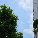 청춘통닭 짝태앤노가리 | 24년 7월의 일상 : 박귀비운다 주륵주륵