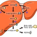 바디채널 혜화점 이미지