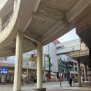 시츄언니 | 일산 라페스타 실내데이트 애견카페 강아지 카페 가격 시설 피터펫카페 일산점 내돈내산 후기