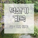 덕산3교 위(덕우리) | 강원도 정선 가볼만한곳 / 덕산기 계곡 트레킹/가슴 아픈 계곡 트레킹