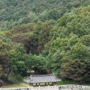 고모산성, 토끼비리 | 문경가볼만한곳 고모산성, 문경고모산성, 문경고모산성, 토끼비리 둘러보기, 진남역 레일바이크와 함께.