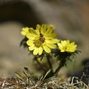 상생과 공존 이미지