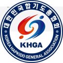 합기도나르샤 네이버블로그