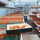 먼당농장 이미지