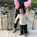 수정농장 | 일산 딸기체험 농장 '삼방가 딸기랜드' 후기