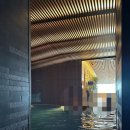 코브541 | 부산 아난티코브 초대형 물놀이 온천 워터하우스 실내 실외 시설 및 이용료