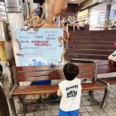 만득이 - 당진시 먹거리길 112-5 | 속초 중앙시장 만득이대게, 내돈내산 솔직후기