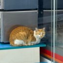 BHC덕신점 | 침대에만 누워있고 싶은 3월의 일상