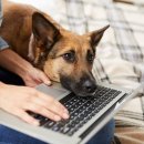 기운찬 동물병원 이미지