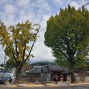 거제역사문화탐방길 이미지