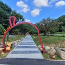 데굴데굴 이미지