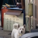 이리주유소 이미지