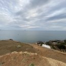 시골막걸리 이미지