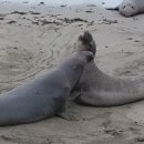 태평양모텔 이미지