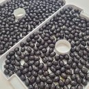 땡글공방 이미지