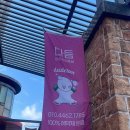 다듬, 강아지미용실 이미지