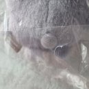 일본 나가노마켓 컬러 농담곰 마스코트 직구 실물 후기 2탄(가품 구별 방법)