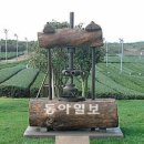 정화장품