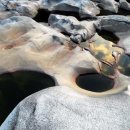 무릉도원면-39 이미지