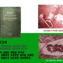 북한 “미국, 온갖 악의 본산이자 지구상의 악성종양”/미국, 한반도에서 세균전 포기한 적 없다 이미지