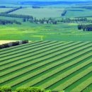 평원농장 이미지