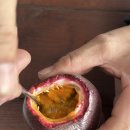 은혜농장 이미지