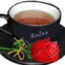 1월 최신가요 모음연속듣기 이미지