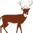 서래부부한의원 이미지